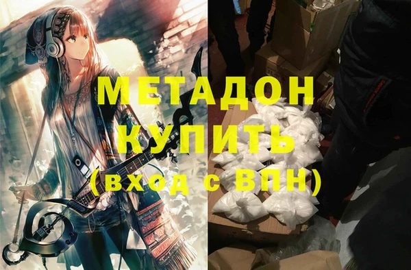 прущие грибы Абаза