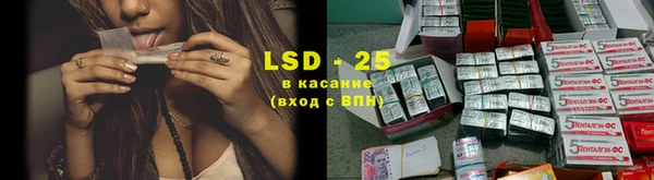 дурь Алзамай