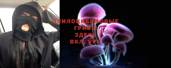 дурь Алзамай