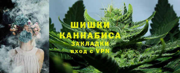 сатива Абинск