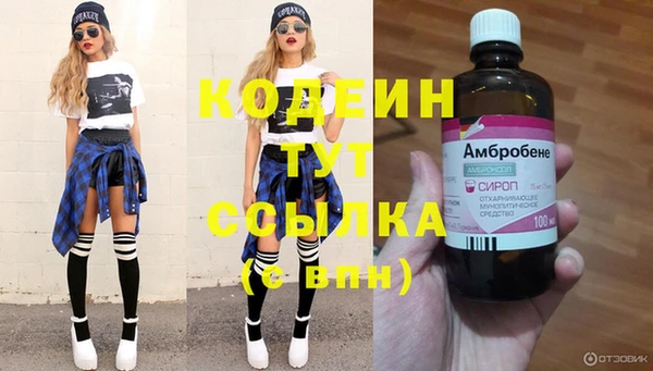 дурь Алзамай