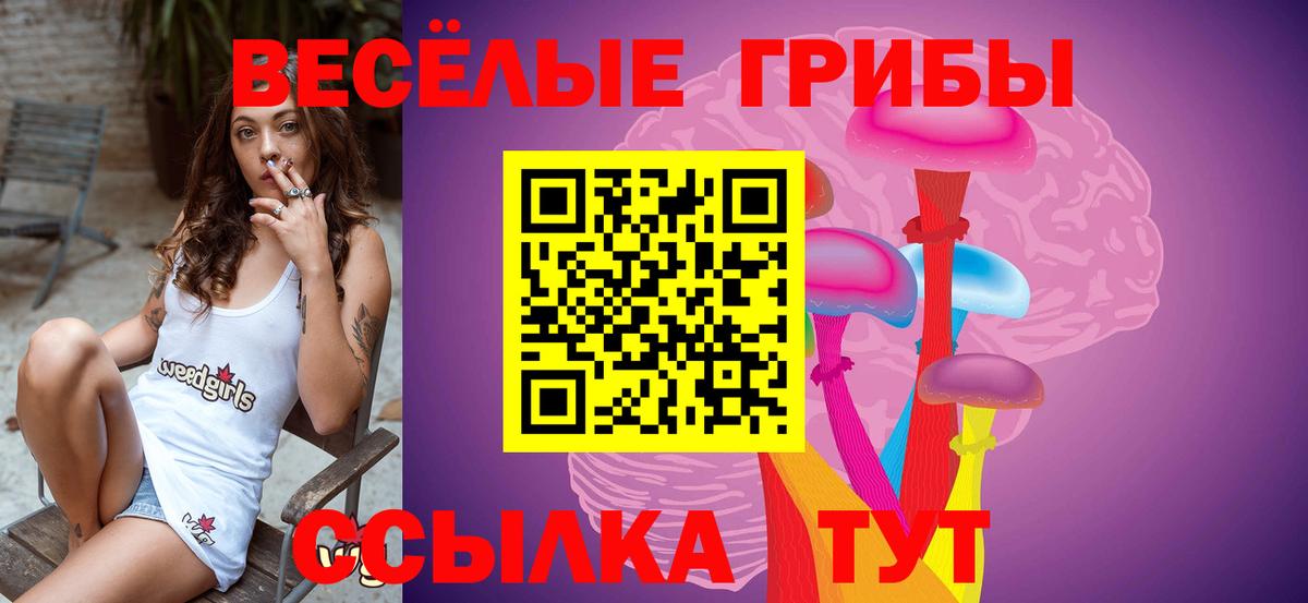 Псилоцибиновые грибы мицелий Котовск
